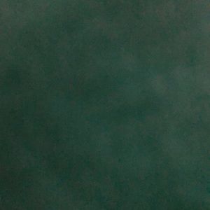 Meet your Posher, Mara